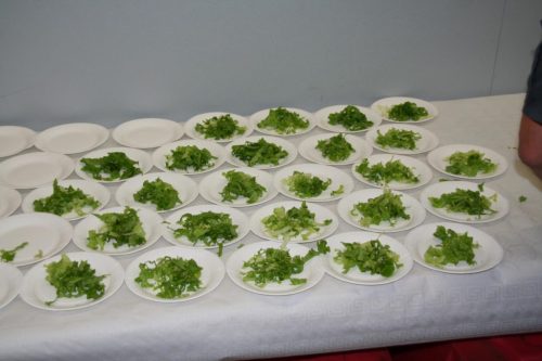 4_REPAS_portugal_22-05-25