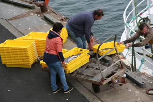 Bretagne_Jour1-6_portLeGuilvinec_10