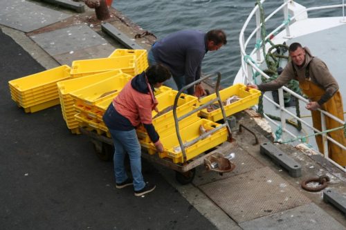Bretagne_Jour1-6_portLeGuilvinec_11