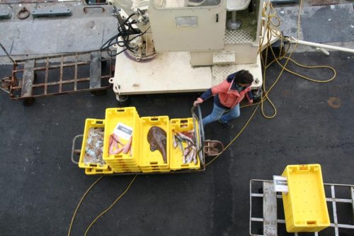 Bretagne_Jour1-6_portLeGuilvinec_12