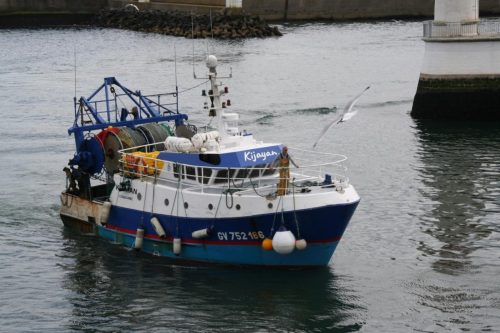 Bretagne_Jour1-6_portLeGuilvinec_14