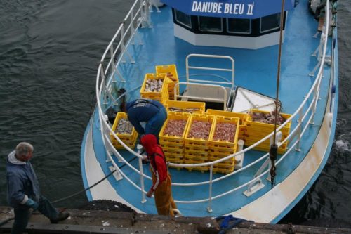Bretagne_Jour1-6_portLeGuilvinec_16