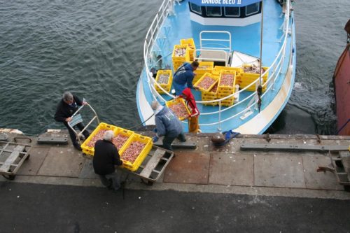 Bretagne_Jour1-6_portLeGuilvinec_17