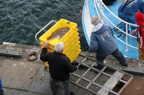 Bretagne_Jour1-6_portLeGuilvinec_18