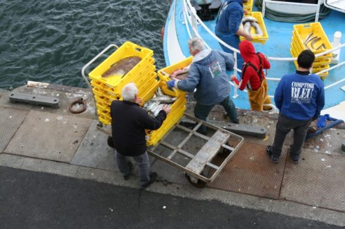 Bretagne_Jour1-6_portLeGuilvinec_19