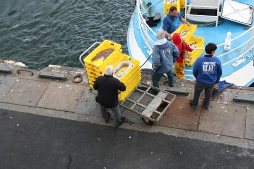 Bretagne_Jour1-6_portLeGuilvinec_20