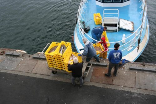 Bretagne_Jour1-6_portLeGuilvinec_21