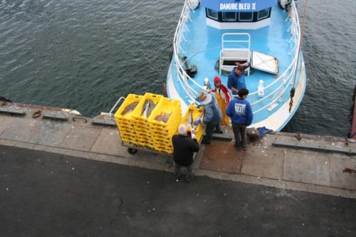 Bretagne_Jour1-6_portLeGuilvinec_22