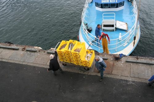 Bretagne_Jour1-6_portLeGuilvinec_23