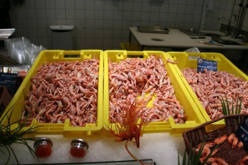 Bretagne_Jour1-6_portLeGuilvinec_28