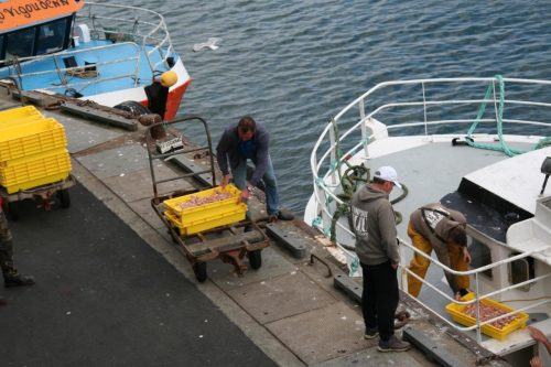 Bretagne_Jour1-6_portLeGuilvinec_5