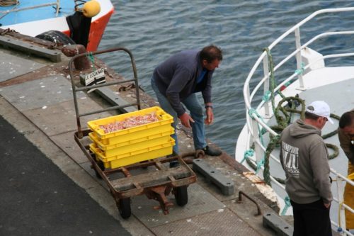 Bretagne_Jour1-6_portLeGuilvinec_6