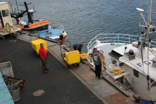 Bretagne_Jour1-6_portLeGuilvinec_8