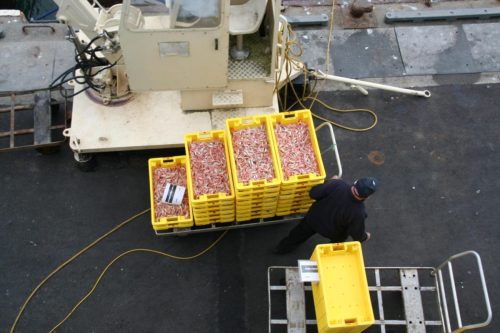 Bretagne_Jour1-6_portLeGuilvinec_9