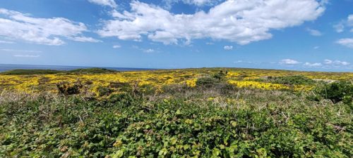 Bretagne_Jour2-2_PointeduVan_22