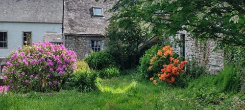 Bretagne_Jour2_Locronan_81