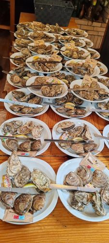 Bretagne_Jour4-4_degustationhuitres13