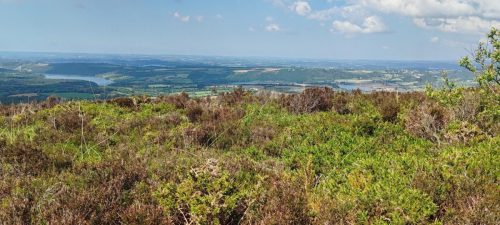 Bretagne_Jour5-2_MenezHom29