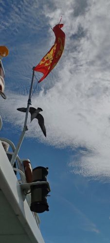 Gruissan_croisiere4