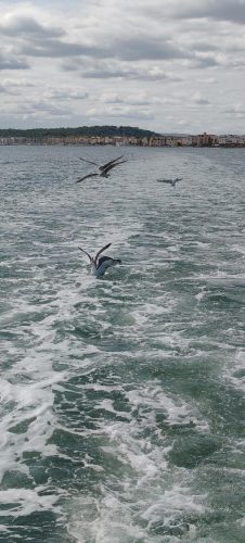 Gruissan_croisiere7