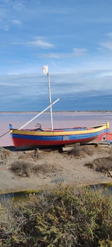 Gruissan_salins1