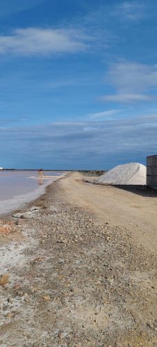 Gruissan_salins10