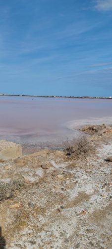 Gruissan_salins11