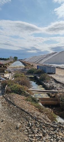 Gruissan_salins12