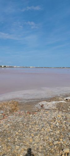 Gruissan_salins13