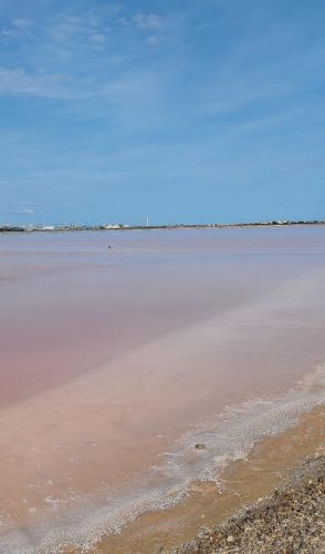 Gruissan_salins16