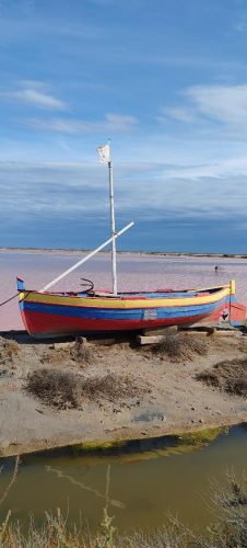 Gruissan_salins2