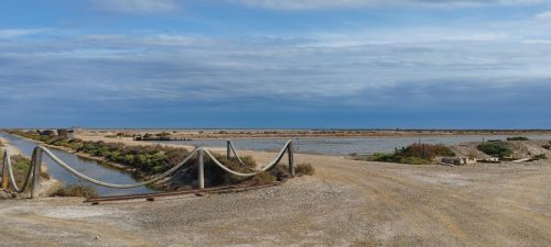 Gruissan_salins20