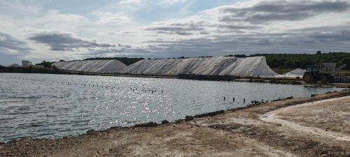 Gruissan_salins23