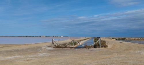 Gruissan_salins24