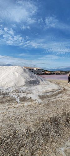 Gruissan_salins26