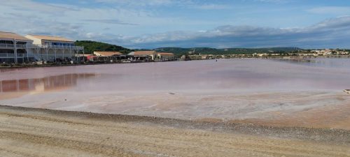 Gruissan_salins28