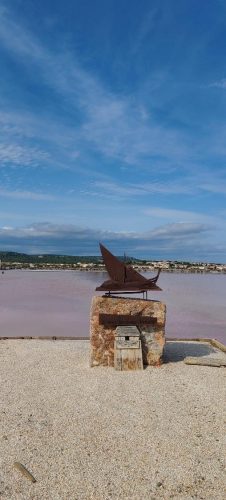Gruissan_salins29