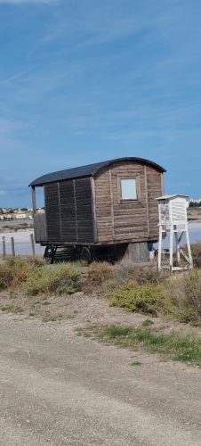 Gruissan_salins3