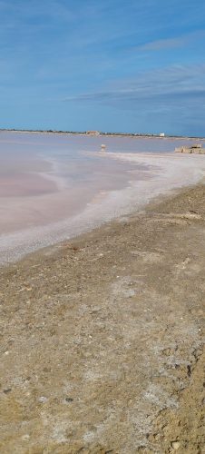 Gruissan_salins30