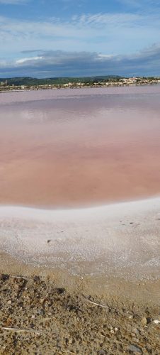 Gruissan_salins31
