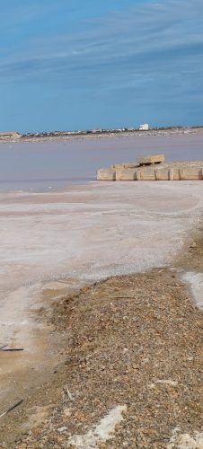 Gruissan_salins32
