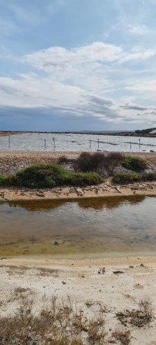 Gruissan_salins33