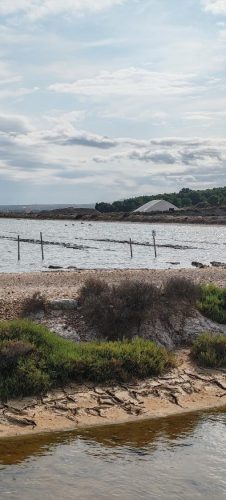 Gruissan_salins34