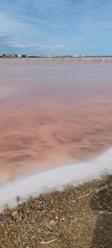 Gruissan_salins35