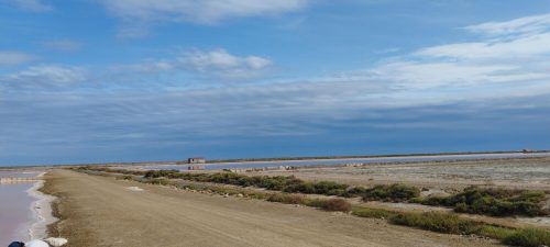 Gruissan_salins37