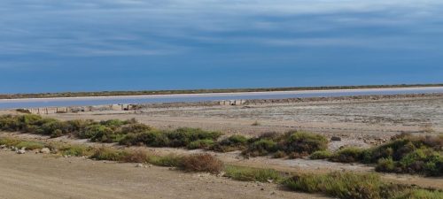 Gruissan_salins38