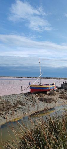 Gruissan_salins4