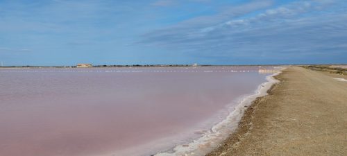 Gruissan_salins40