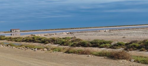 Gruissan_salins41