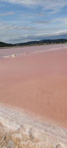 Gruissan_salins43
